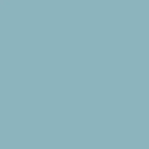 Image of Ncs S 2020-b10g Paint