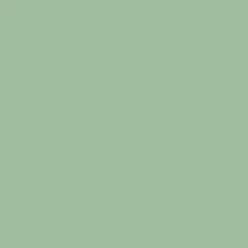 Image of Ncs S 2020-g20y Paint