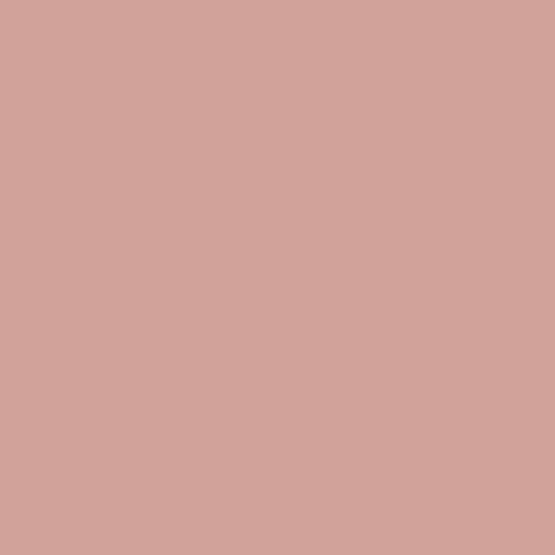Image of Ncs S 2020-y80r Paint