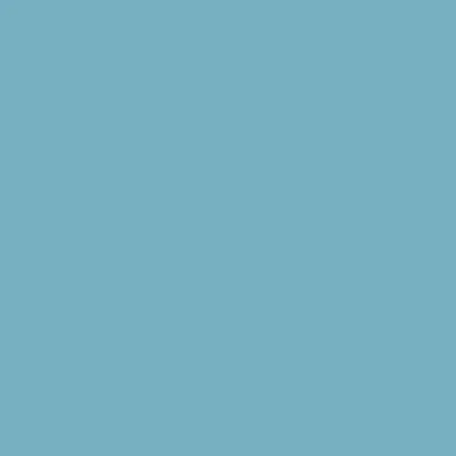 Image of Ncs S 2030-b10g Paint