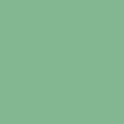 Image of Ncs S 2030-g10y Paint