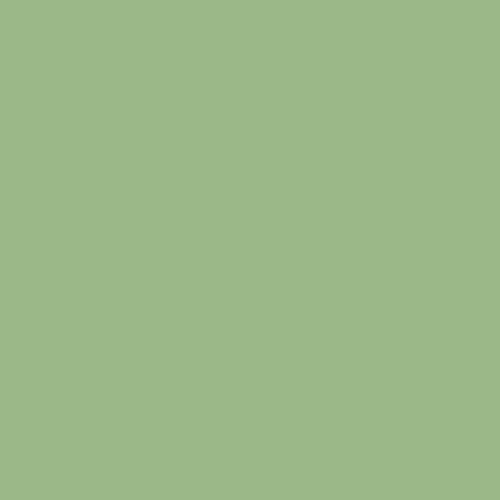 Image of Ncs S 2030-g30y Paint