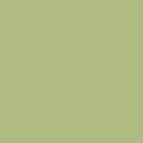 Image of Ncs S 2030-g50y Paint