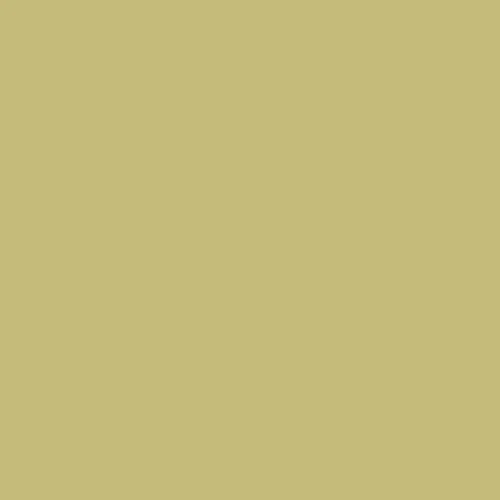 Image of Ncs S 2030-g80y Paint