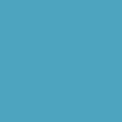 Image of Ncs S 2040-b10g Paint