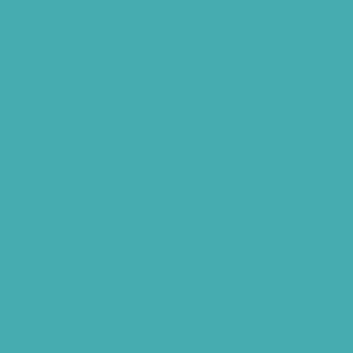 Image of Ncs S 2040-b40g Paint