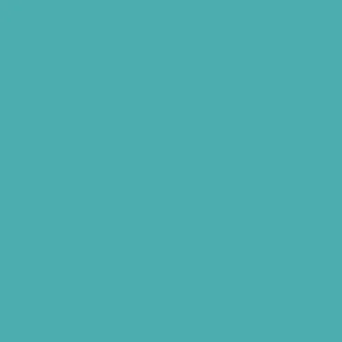 Image of Ncs S 2040-b50g Paint