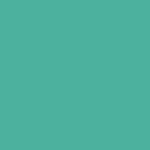 Image of Ncs S 2040-b80g Paint