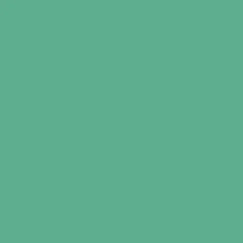 Image of Ncs S 2040-g Paint