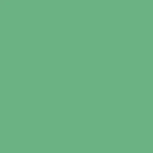 Image of Ncs S 2040-g10y Paint