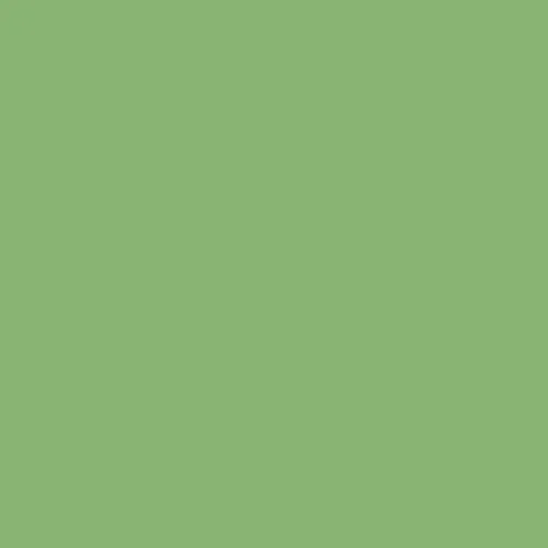 Image of Ncs S 2040-g30y Paint
