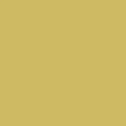 Image of Ncs S 2040-g90y Paint