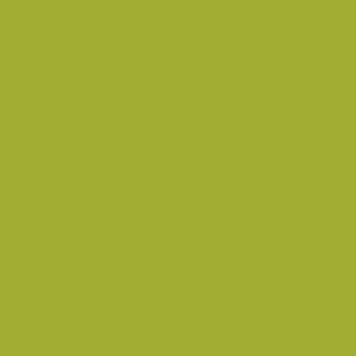 Image of Ncs S 2060-g60y Paint