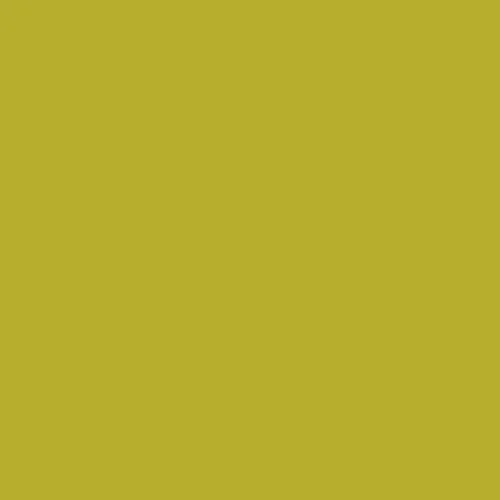 Image of Ncs S 2060-g80y Paint