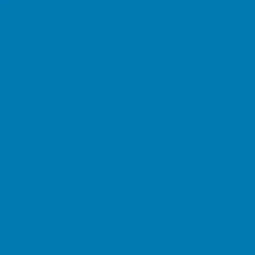 Image of Ncs S 2065-b Paint