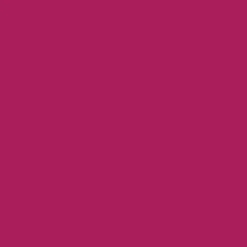 Image of Ncs S 2065-r20b Paint