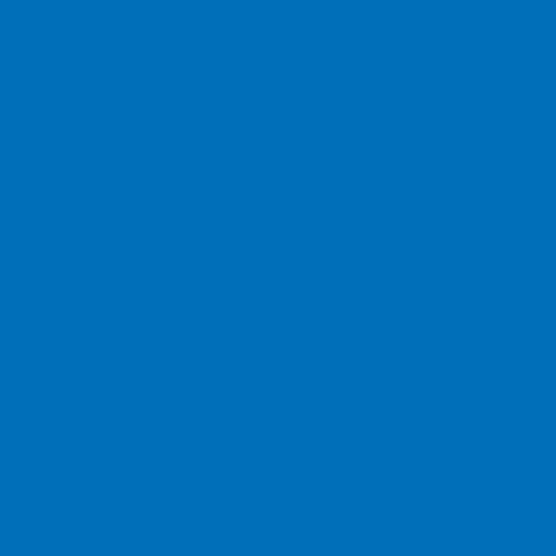 Image of Ncs S 2065-r90b Paint