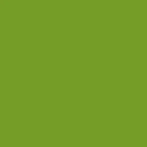 Image of Ncs S 2070-g40y Paint