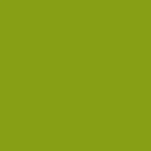 Image of Ncs S 2070-g50y Paint
