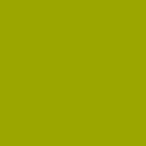 Image of Ncs S 2070-g60y Paint