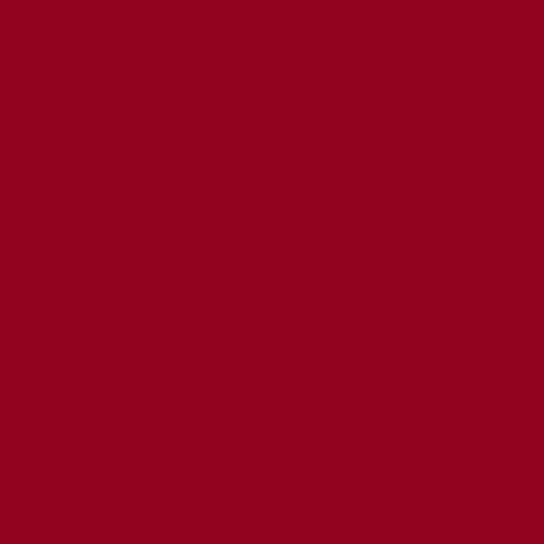 Image of Ncs S 2570-r Paint