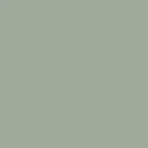 Image of Ncs S 3010-g20y Paint