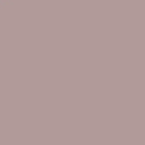 Image of Ncs S 3010-r Paint