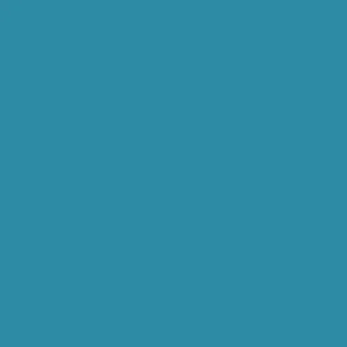 Image of Ncs S 3040-b10g Paint