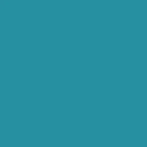 Image of Ncs S 3040-b20g Paint