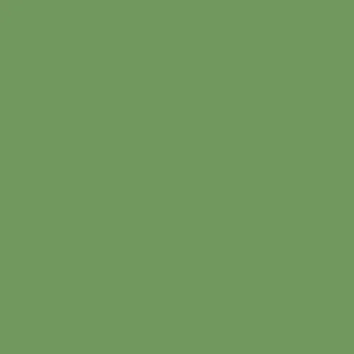 Image of Ncs S 3040-g30y Paint