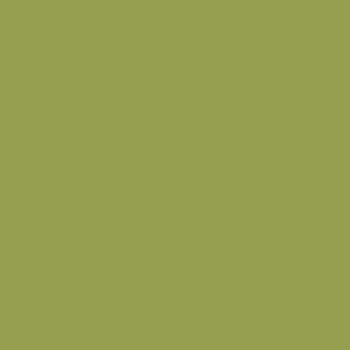 Image of Ncs S 3040-g60y Paint