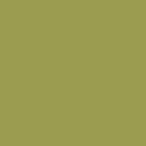 Image of Ncs S 3040-g70y Paint