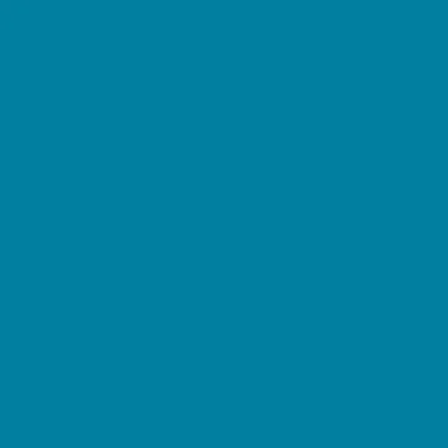 Image of Ncs S 3050-b10g Paint