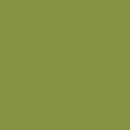 Image of Ncs S 3050-g50y Paint