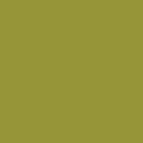 Image of Ncs S 3050-g70y Paint