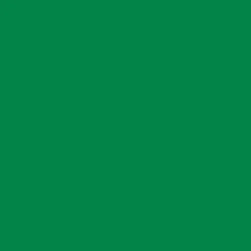 Image of Ncs S 3060-g10y Paint