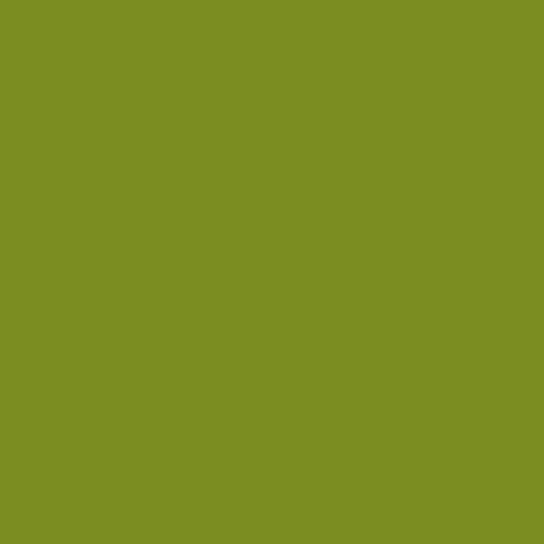 Image of Ncs S 3060-g50y Paint