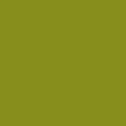 Image of Ncs S 3065-g60y Paint