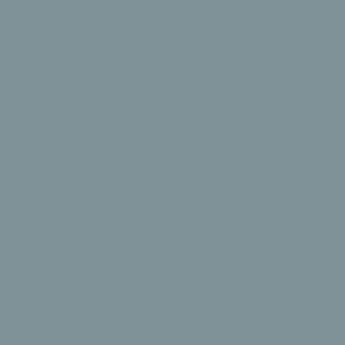 Image of Ncs S 4010-b10g Paint