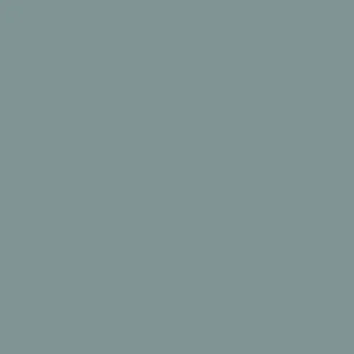 Image of Ncs S 4010-b50g Paint