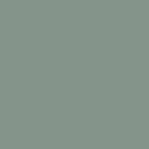 Image of Ncs S 4010-g10y Paint