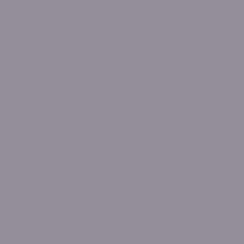 Image of Ncs S 4010-r50b Paint