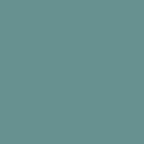 Image of Ncs S 4020-b50g Paint