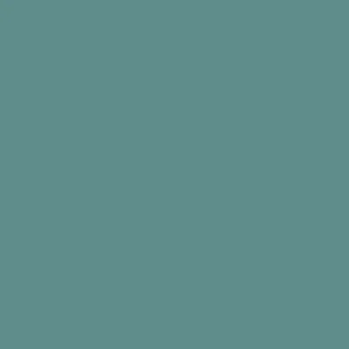Image of Ncs S 4020-b70g Paint