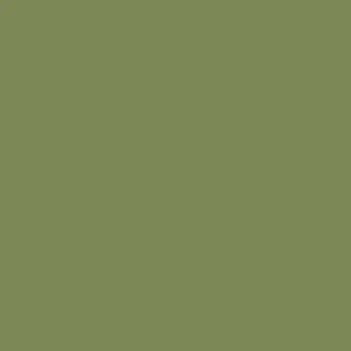 Image of Ncs S 4030-g50y Paint