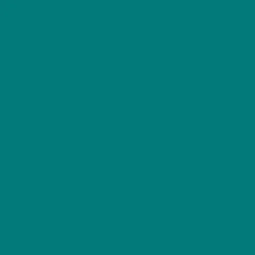 Image of Ncs S 4040-b50g Paint