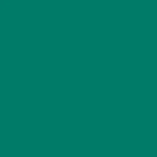 Image of Ncs S 4040-b80g Paint