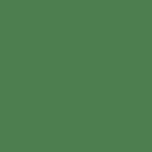 Image of Ncs S 4040-g20y Paint