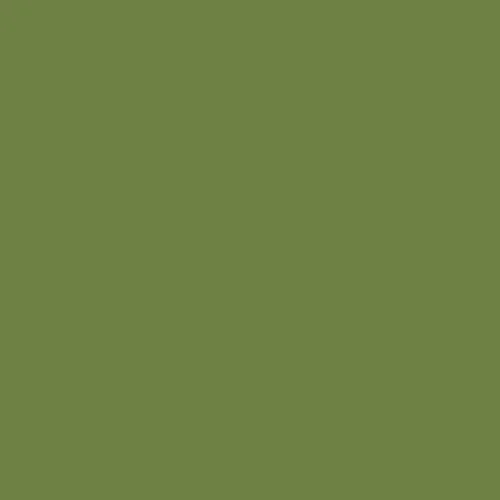 Image of Ncs S 4040-g40y Paint