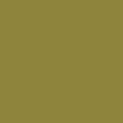 Image of Ncs S 4040-g80y Paint